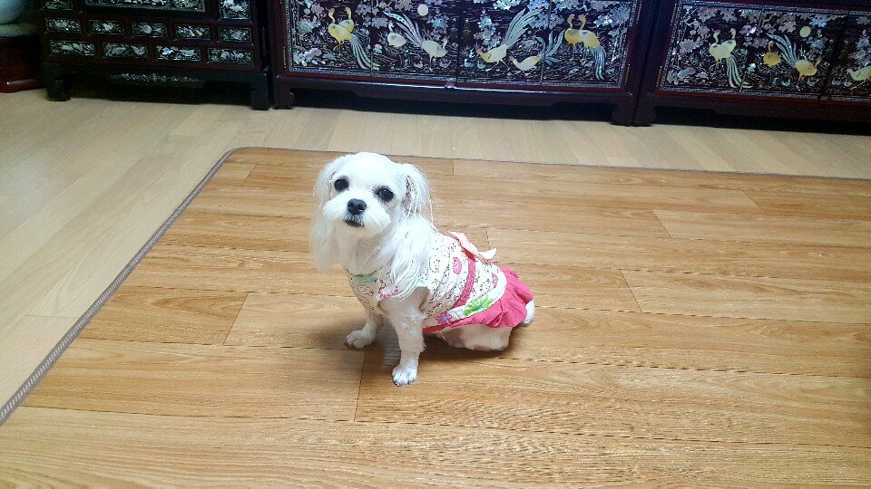 햇님하나마트 이미지