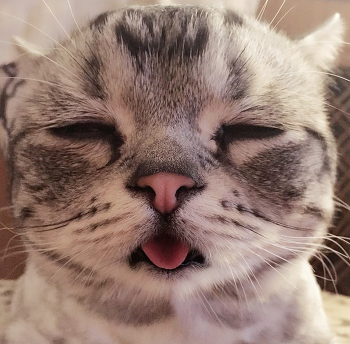 놀자PC방 이미지