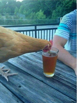 동네치맥 이미지