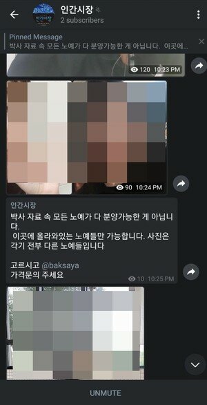 Baksaya 오프 단독] 조주빈 '인간시장방'도 운영..피해여성 '분양' 성폭행 ...