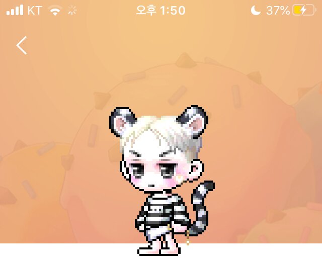 님들이볼때 블링토벤 이쁜머리임???? | 메이플 인벤