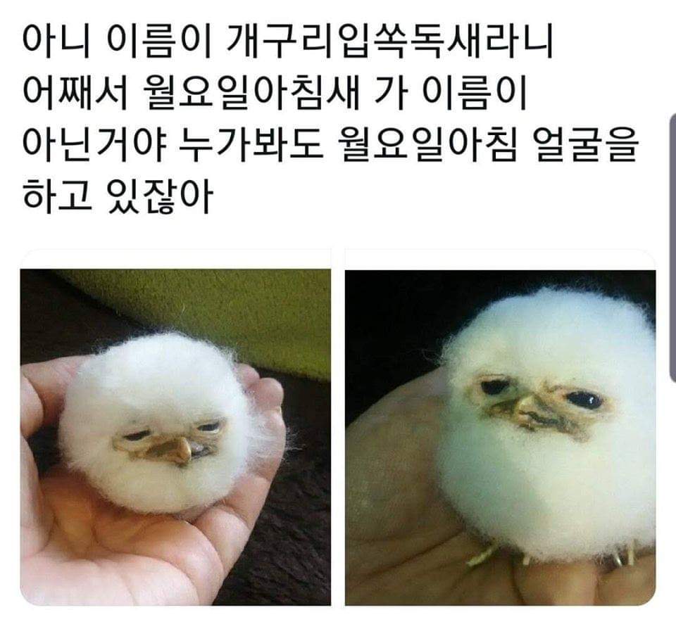월요일아침 이미지