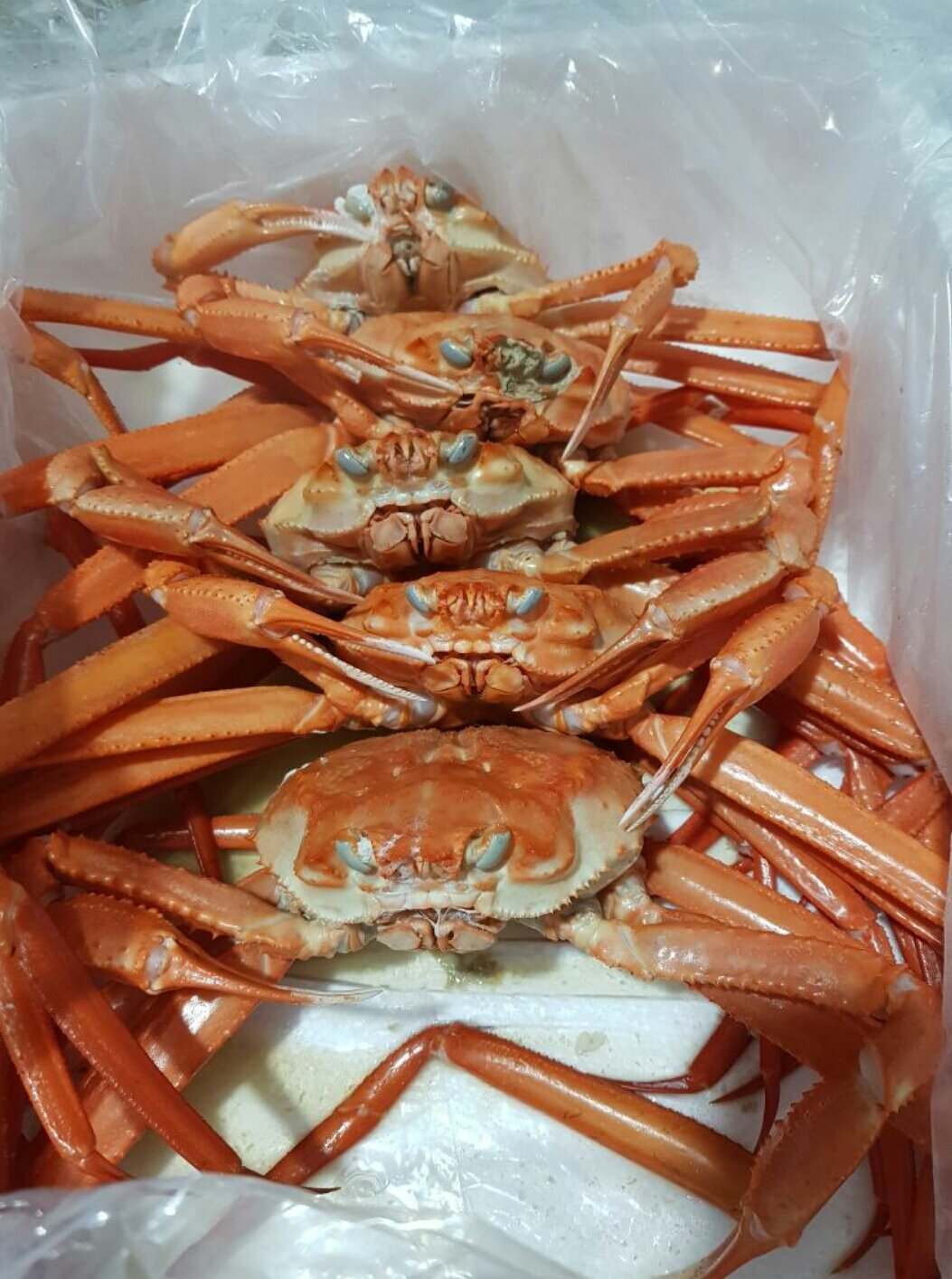 싱싱하구만. | 로아 인벤