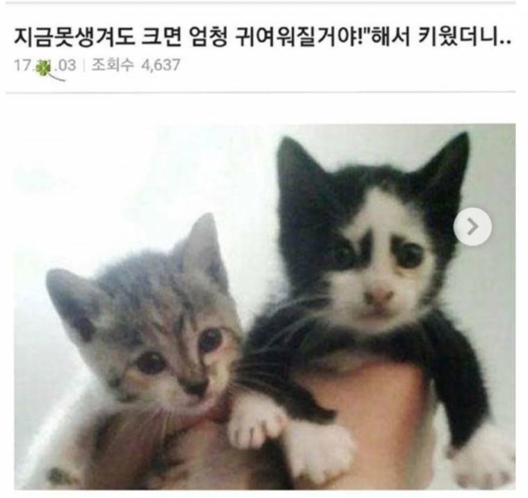 잼PC방 이미지