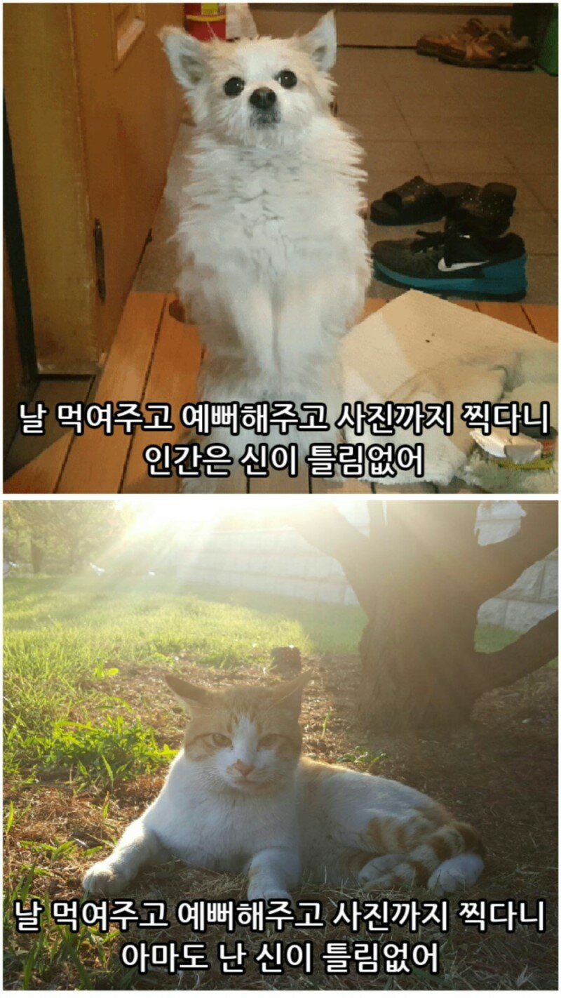 동자피시방 이미지