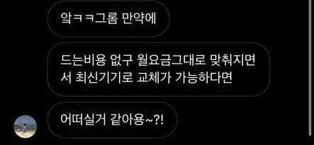 설레인 이미지