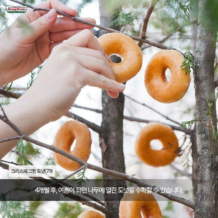 도넛스토리 이미지