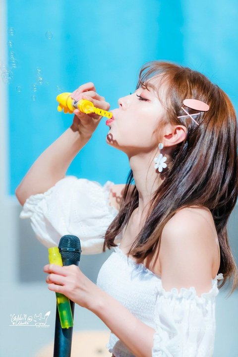 동네정육점 이미지