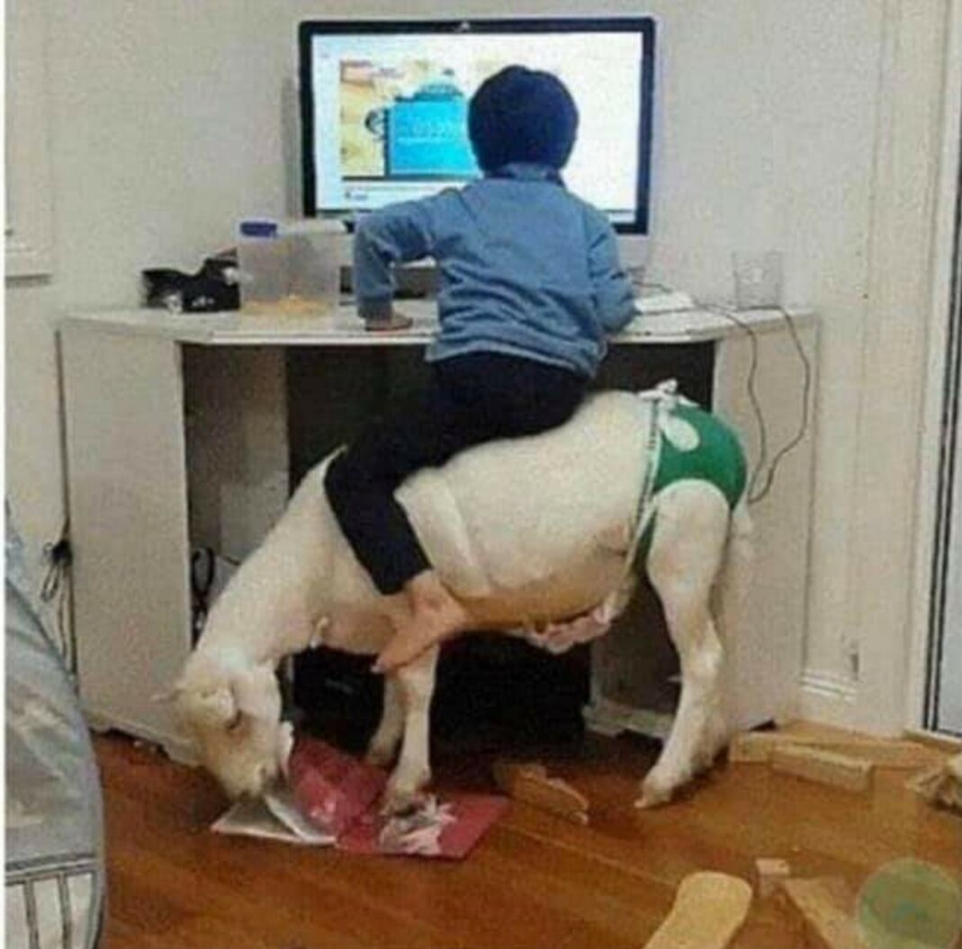 컴퓨터제국 이미지