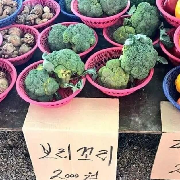 정감이 이미지