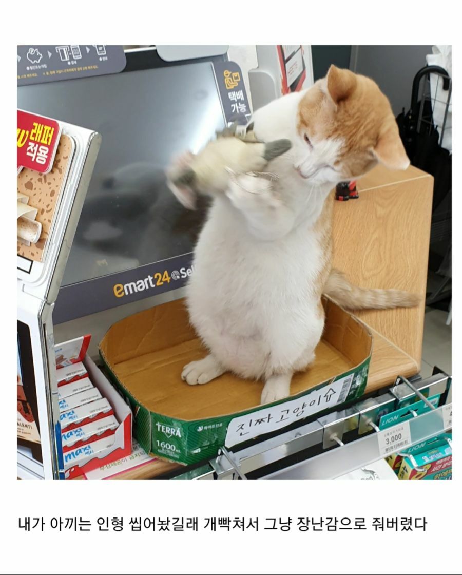 덩어리 이미지