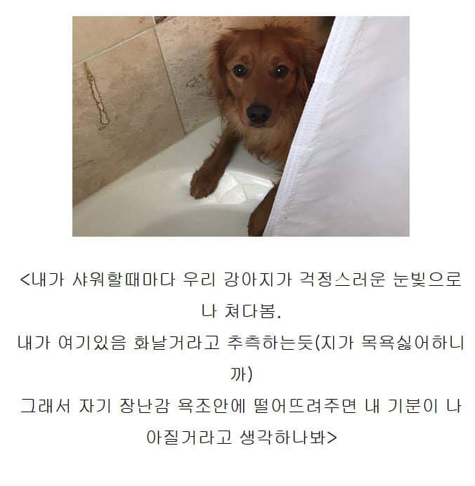 인 이미지