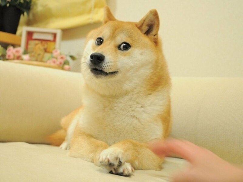 유명한 이미지