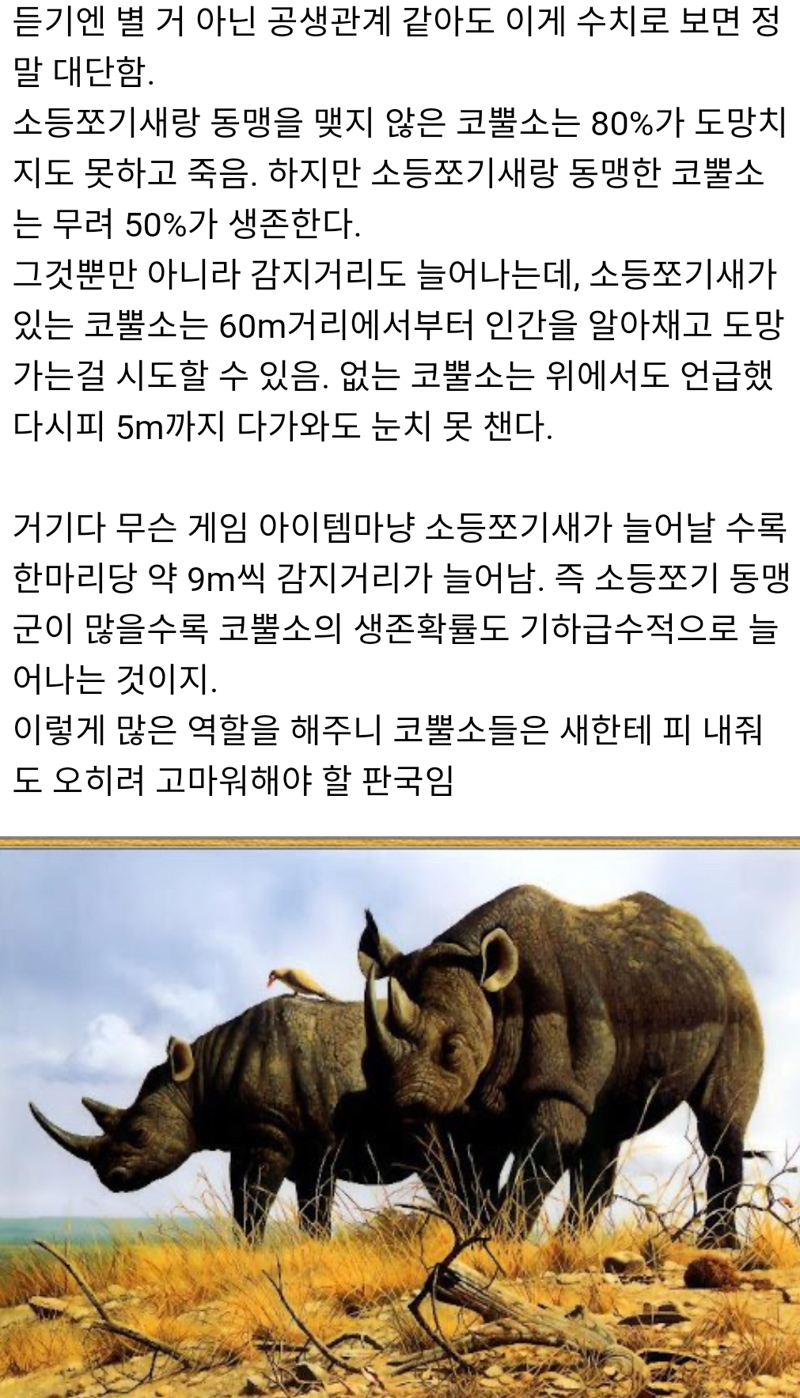 FC 온라인 인벤 : 코뿔소와 소등쪼기새와의 상생 - FC 온라인 인벤 자유게시판 코뿔소와 소등쪼기새와의 상생