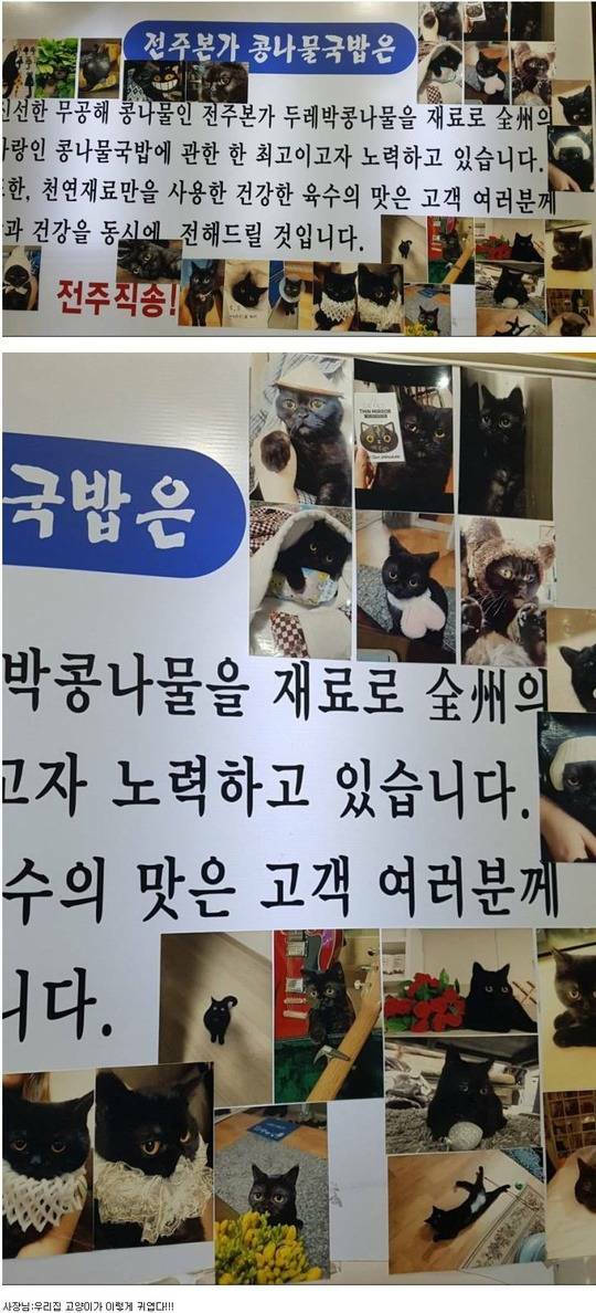 고양이 집이다 vs 콩나물 국밥 집이다 - 오픈이슈갤러리 - 인벤 고양이 집이다 vs 콩나물 국밥 집이다