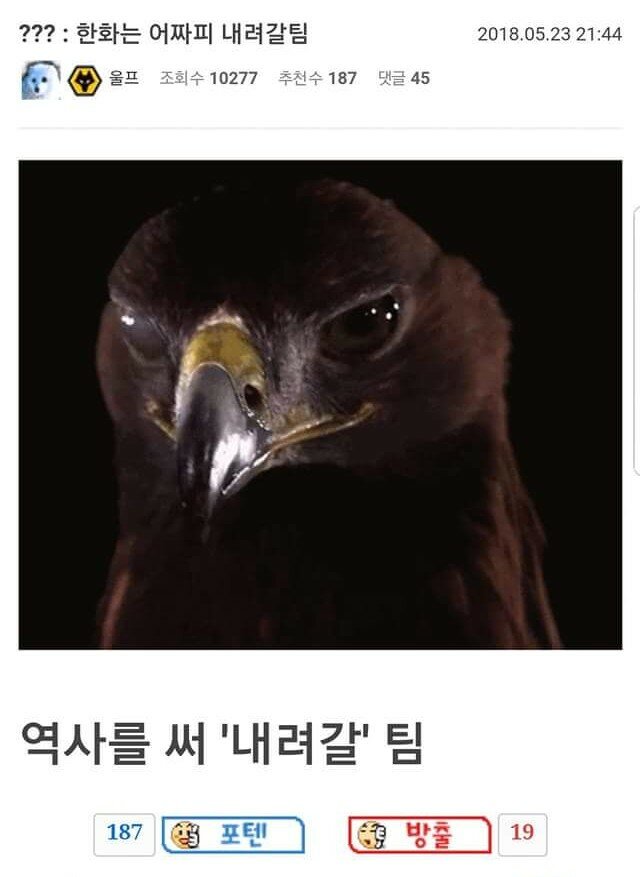 최! 강! 한 ! 화! - 오픈이슈갤러리 - 인벤 최! 강! 한 ! 화! - 오픈이슈갤러리