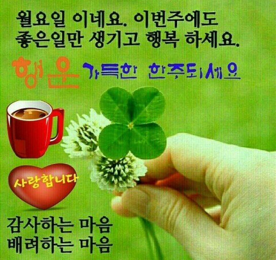 라이프앤스토리 이미지