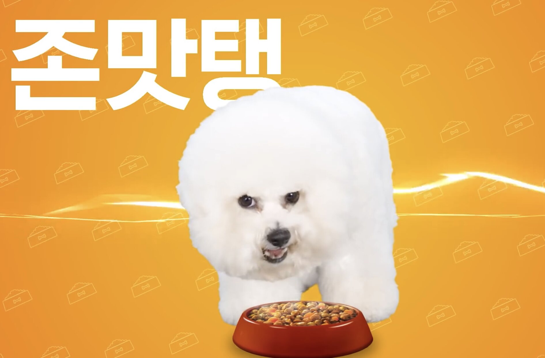 메이플스토리 인벤 : 오늘의 1일1식 - 메이플스토리 인벤 자유게시판