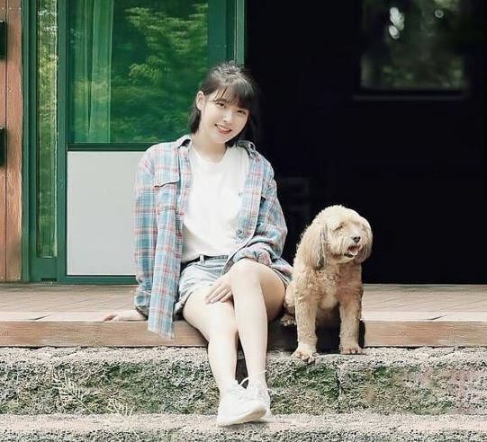 피파 온라인4 인벤 : 효리네민박 명작이네요 - 피파 온라인4 인벤 자유게시판