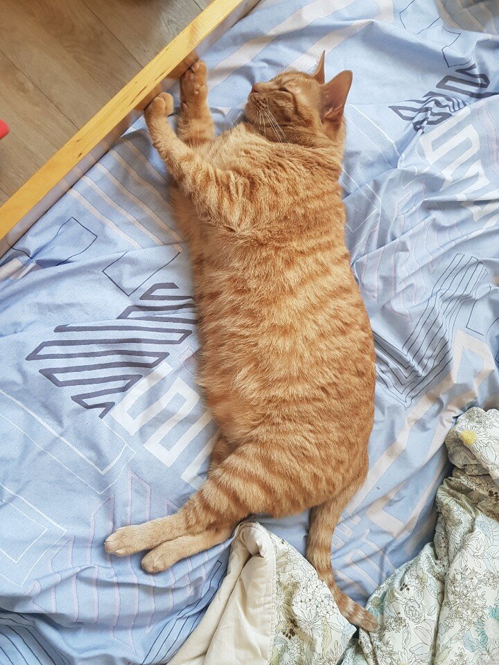 네모PC방 이미지