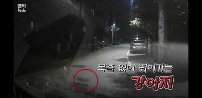 적반하장 이미지