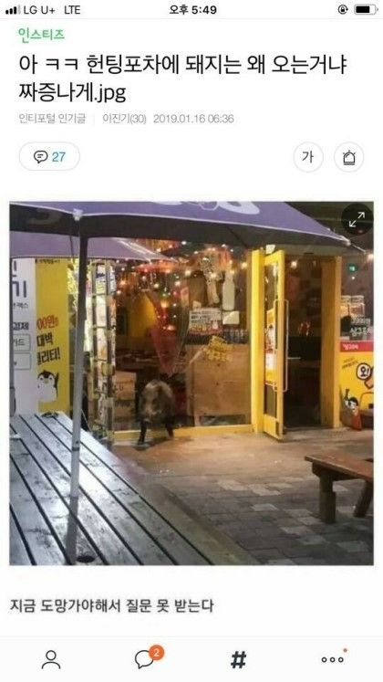 너구리포차 이미지