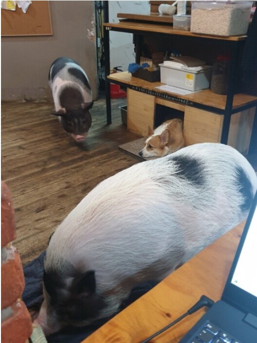 카페옆에 이미지