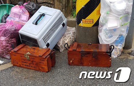 더미도 이미지