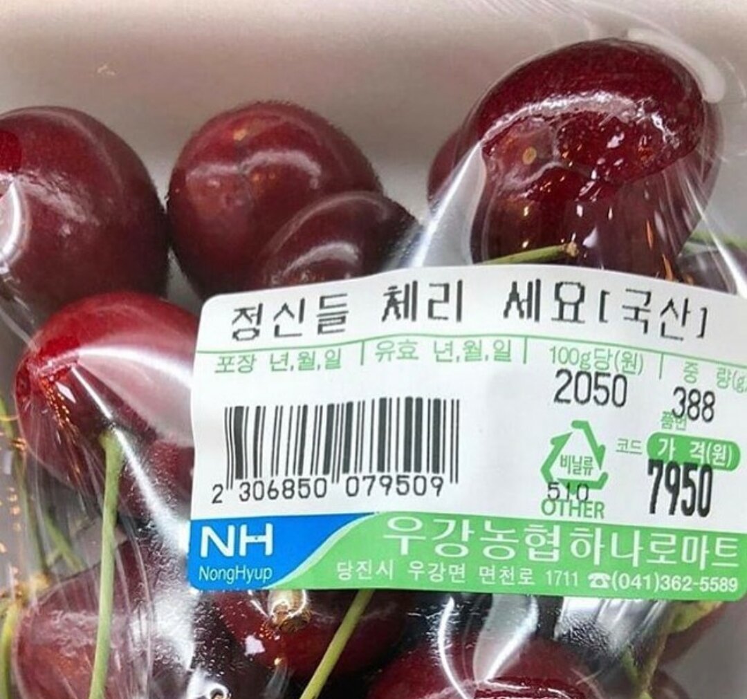 체리피씨방 이미지
