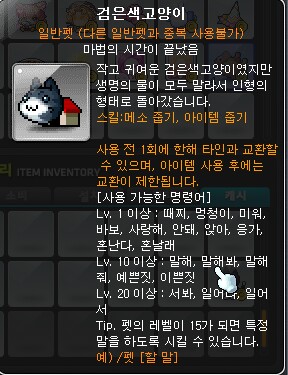 태창주 이미지