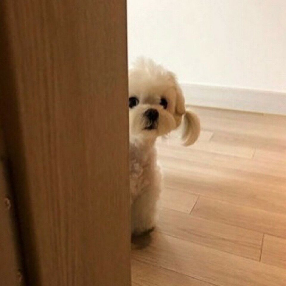 스탑 이미지