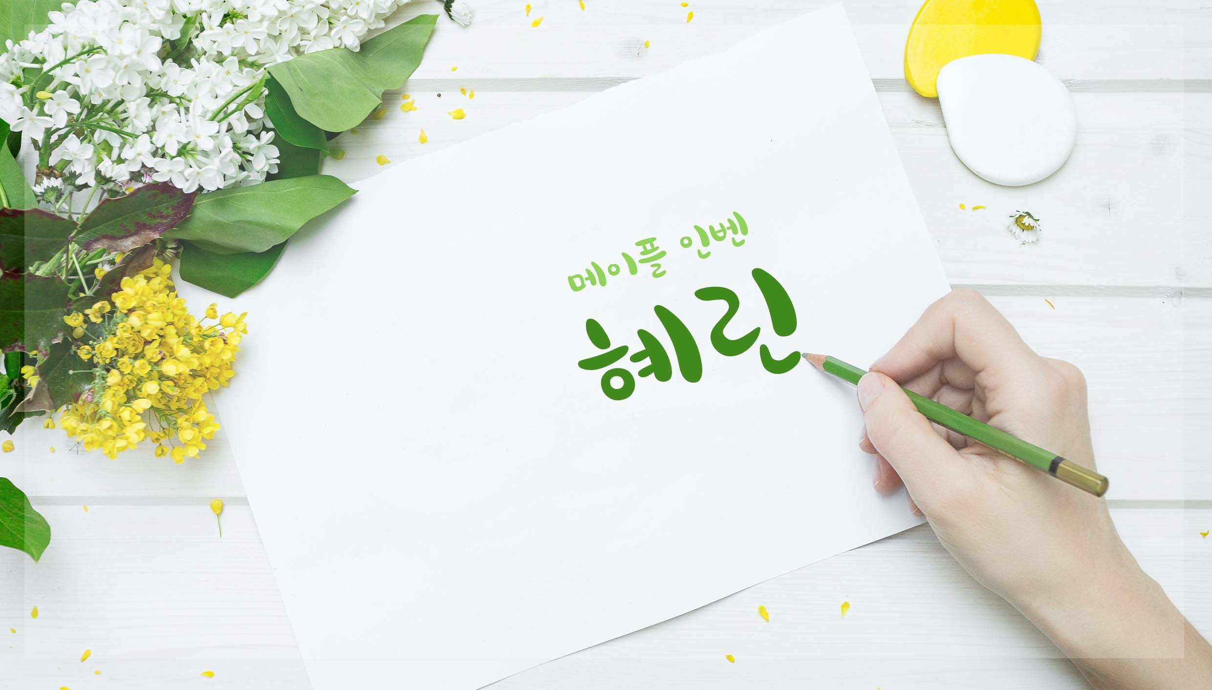 쉬스토리 이미지
