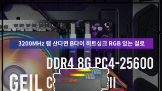 GeIL DDR4 8G PC4-25600 CL22 EVO X II AMD Gray RGB 메모리 리뷰
