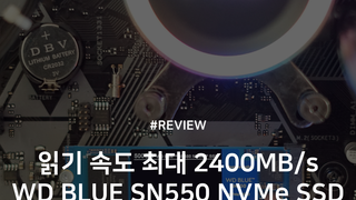 최대 읽기 속도 2,400MB/s WD BLUE SN550 NVMe SSD