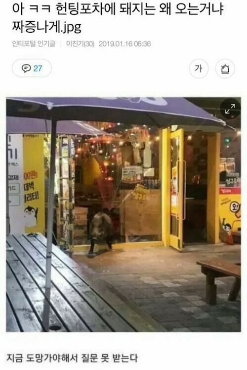 갤러리포차 이미지