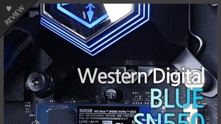 WD BLUE SN550 사용기