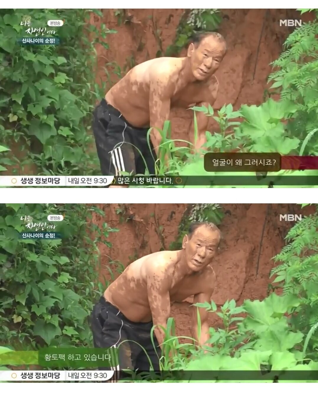 황토팩 좋아하는 개 - 오픈이슈갤러리 - 인벤 황토팩 좋아하는 개 - 오픈이슈갤러리