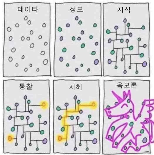 ２１데이타 이미지