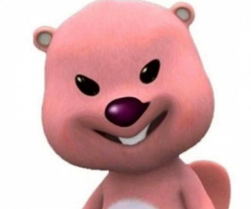 쉬스토리 이미지