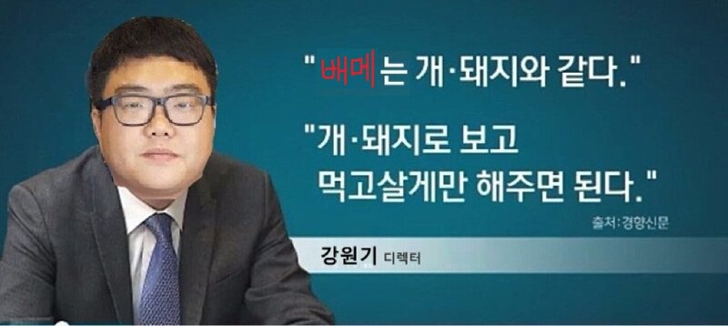 어차피 배메들은 개돼지입니다