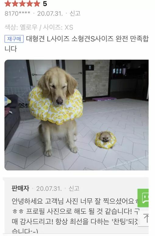 카라피시방 이미지