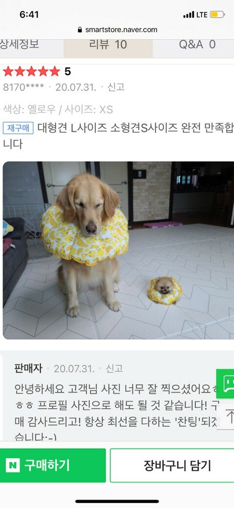 카라피시방 이미지