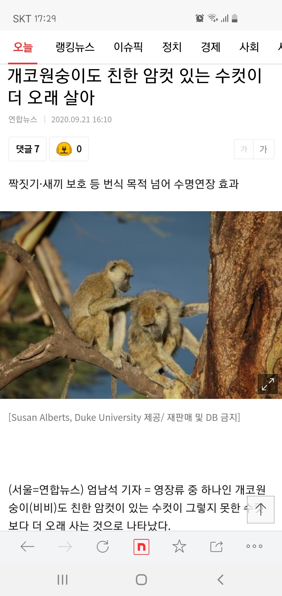 하니갤러리 이미지