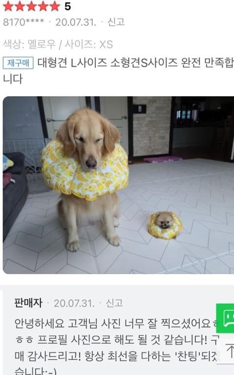 카라피시방 이미지