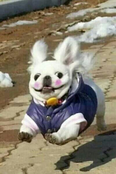 빅뱅PC방 이미지