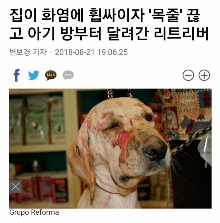 인 이미지