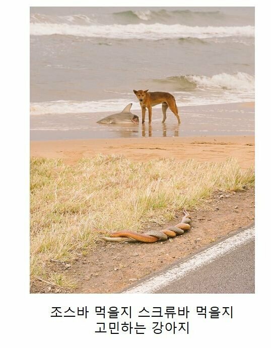엔티크PC방 이미지