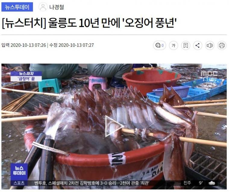 낭만오징어 이미지