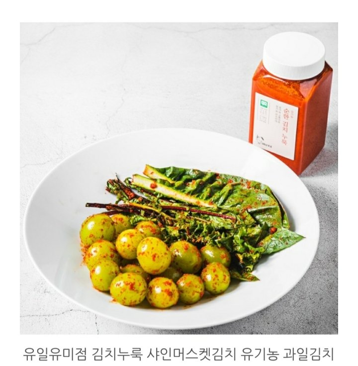 샤인스토리 이미지