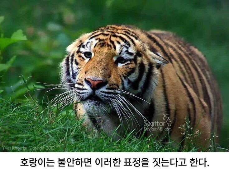 CO.CO헤어룸 이미지
